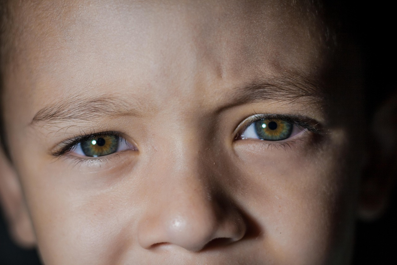 eye, kid, baby, child, eyes, portrait, childhood, cute, little, boy, face, children, green, look, brown portrait, brown eye, eye, eye, eyes, eyes, eyes, children, children, children, children, children