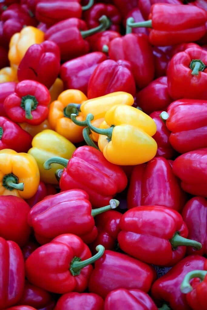 Descubre qué alimentos son permitidos en FAOD para mantener una dieta segura y equilibrada. Guía práctica para familias con niños afectados por FAOD.